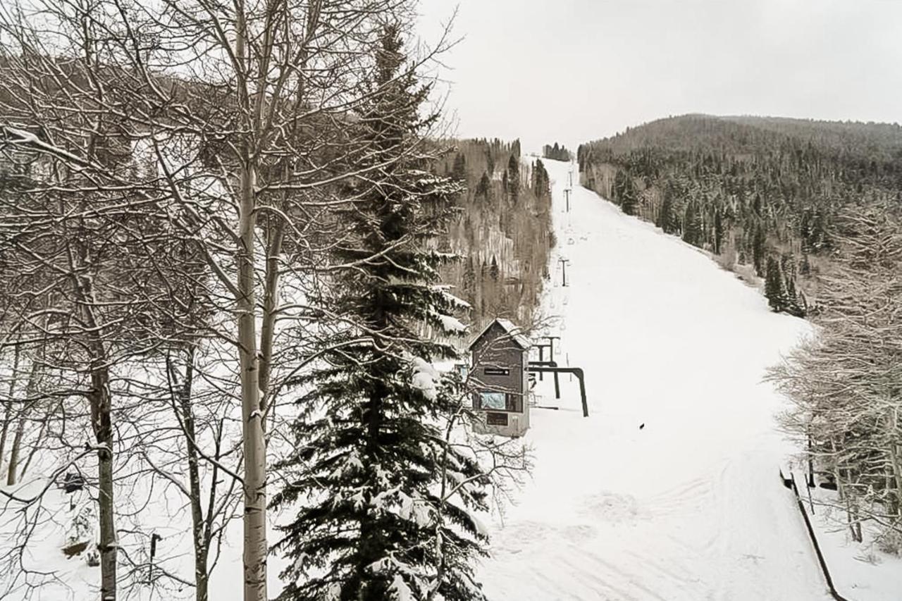 テルユライドCimarron Mountain Retreatアパートメント エクステリア 写真