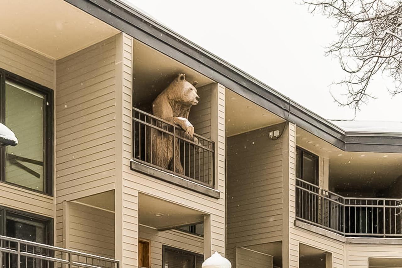 テルユライドCimarron Mountain Retreatアパートメント エクステリア 写真